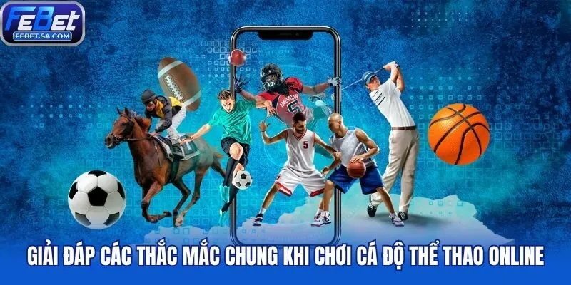 Giải đáp các thắc mắc chung khi chơi cá độ thể thao online