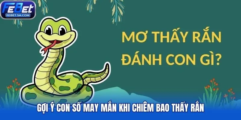 Gợi ý con số may mắn khi chiêm bao thấy rắn