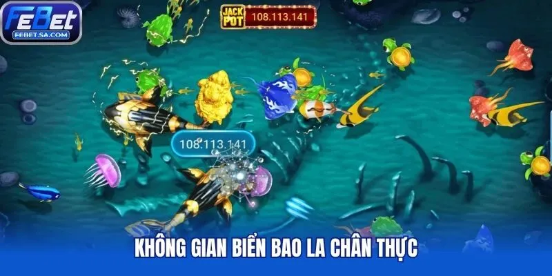 Không gian biển bao la chân thực