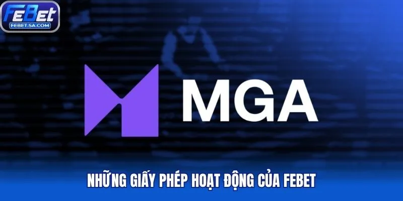 Những giấy phép hoạt động của Febet