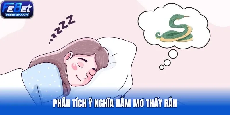 Phân tích ý nghĩa nằm mơ thấy rắn